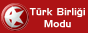Türk Birliği Modu