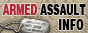 Armed Assault Info