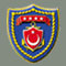 Naval Forces
